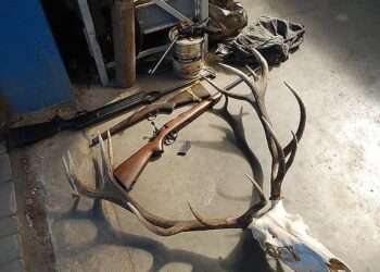 Mielec: Policjanci zabezpieczyli broń i amunicję