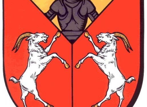 Dwikozy: Kurs samoobrony dla kobiet