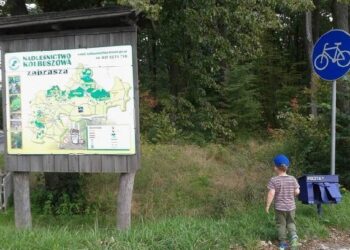 Kolbuszowa: Naprawić trasy rowerowe