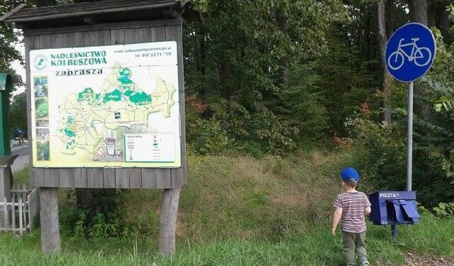 Kolbuszowa: Naprawić trasy rowerowe