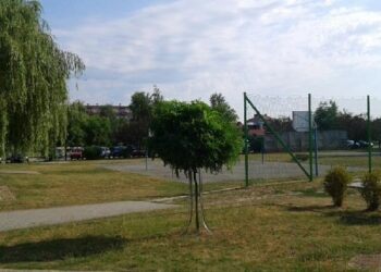 Mielec:  Sadzenie  z wyobraźnią