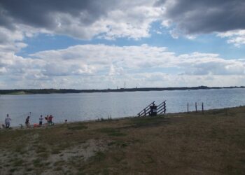 Tarnobrzeg. Radni uchwalili studium.