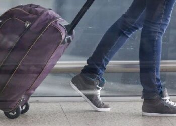 Region: Wiózł nielegalnie ponad 40 kg żywności