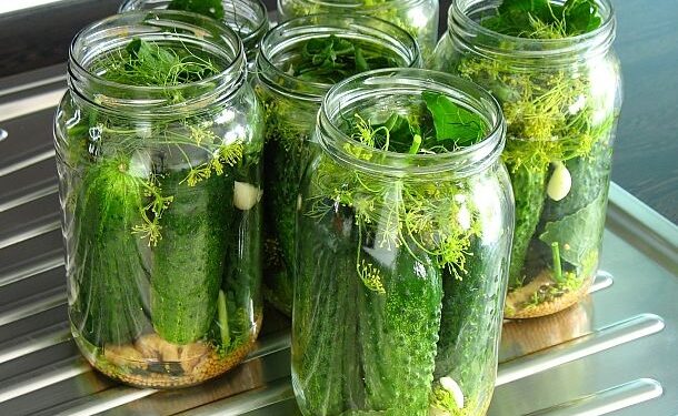 Mielec: Sezon ogórkowy trwa