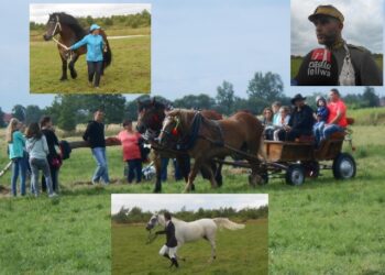 Obojna: Po raz siódmy odbył się piknik rodzinny Konie naszą pasją