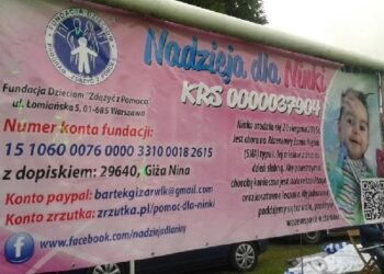 Mielec: Pomoc  dla małej mieszkanki powiatu mieleckiego