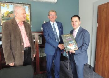 Mielec: Transport publiczny na terenie powiatu