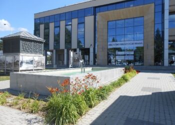 Stalowa Wola: Drzewko solarne może stanąć przy gmachu biblioteki