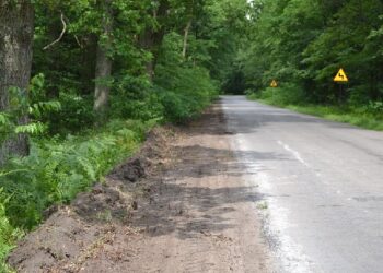 Rudnik, Pikuły: We wrześniu droga będzie gotowa.