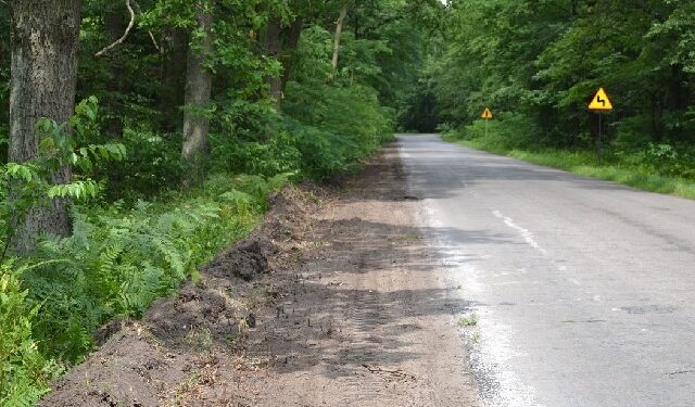 Rudnik, Pikuły: We wrześniu droga będzie gotowa.