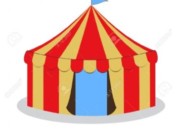 Tarnobrzeg: Mimo zakazu pojawił się cyrk ze zwierzętami