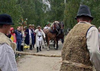 Kolbuszowa: Koń w roli głównej