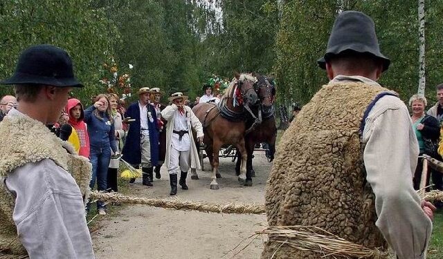 Kolbuszowa: Koń w roli głównej