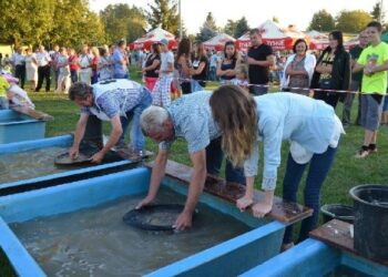 Mielec: W Złotnikach jest złoto.