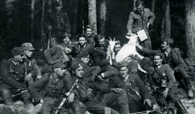 Ostrowy Tuszowskie: ''Zapora'' z ''Mścicielem'' pobili sowietów