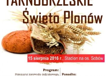 Tarnobrzeg: Miejskie Święto Plonów na osiedlu Sobów