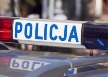 Mielec: Zwłoki 37-latka znalezione w rowie