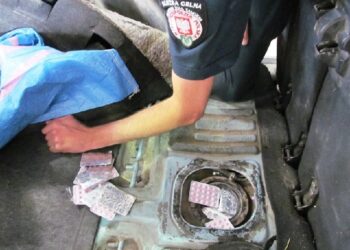 Region: Anaboliki zamiast na siłownię trafiły do magazynu celnego.