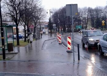 Kolbuszowa: Doniczką w samochód.