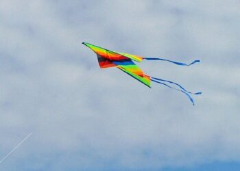 Tarnobrzeg: Piknik modelarski 2016