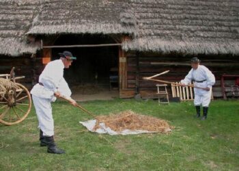 Kolbuszowa: Wypieką chleb, pomłócą cepami