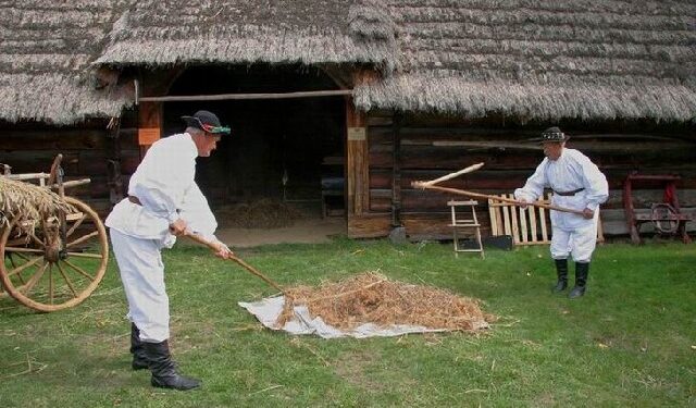 Kolbuszowa: Wypieką chleb, pomłócą cepami