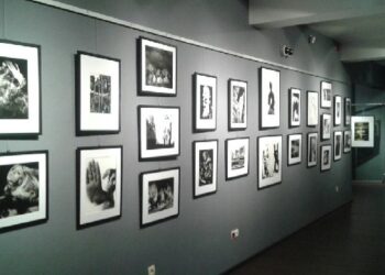 Mielec:  Wystawa z górnej półki