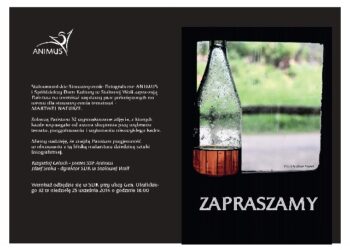 Stalowa Wola: Martwa Natura