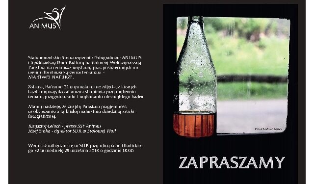 Stalowa Wola: Martwa Natura