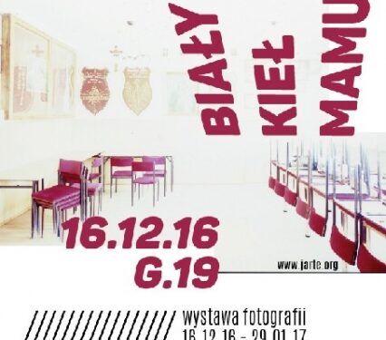 Mielec: " Biały kieł mamuta"  Pawła Wolanina