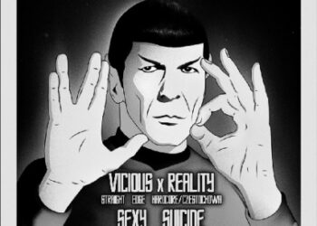 Tarnobrzeg. Koncert zespołu Sexy Suicide.