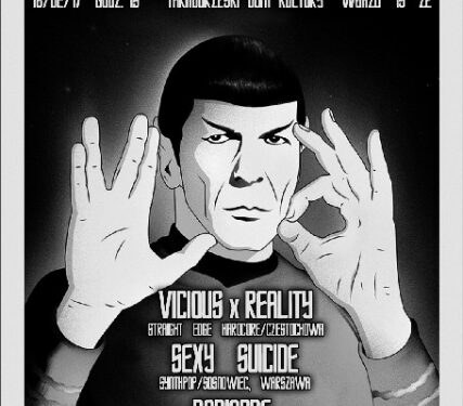 Tarnobrzeg. Koncert zespołu Sexy Suicide.