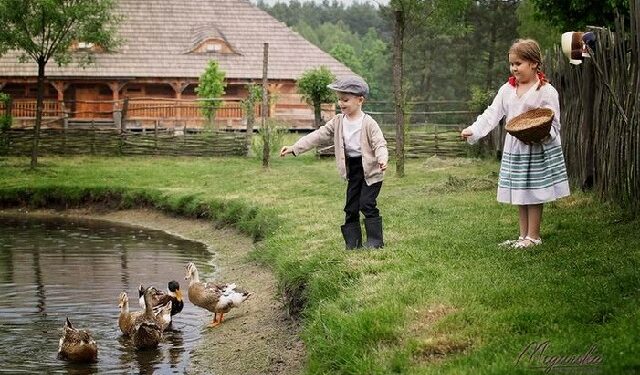 Kolbuszowa: Sesja z kurczakami i owieczką