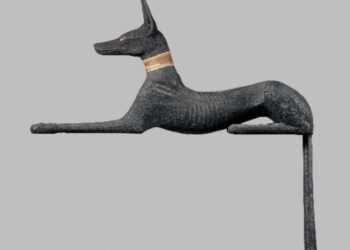 Stalowa Wola: Tajemnice starożytnego Egiptu w muzeum