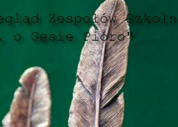 Stalowa Wola: Trwa Wojewódzki Przegląd O Gęsie Pióro