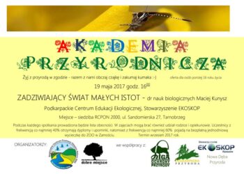 Tarnobrzeg. O pająkach, wijach i krocionogach.