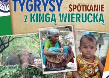 Stalowa Wola: W sobotę azjatyckie tygrysy w MDK