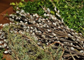 Kolbuszowa: Niedziela Palmowa w skansenie