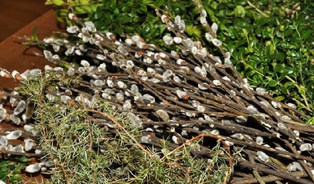 Kolbuszowa: Niedziela Palmowa w skansenie