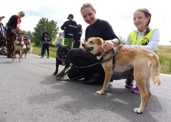 Sandomierz: I Sandomierski Dogtrekking Wiśniowy.