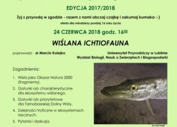 Tarnobrzeg. O wiślanej ichtiofaunie.