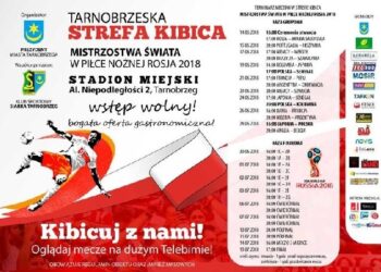 Tarnobrzeg. Rusza strefa kibica.