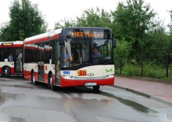 Mielec:  Nowe linie komunikacyjne.