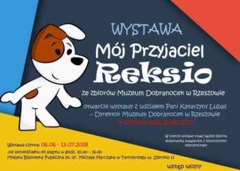 Tarnobrzeg. Mój przyjaciel Reksio.