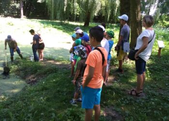 Tarnobrzeg. Poznawali przyrodę Parku Dzikowskiego.