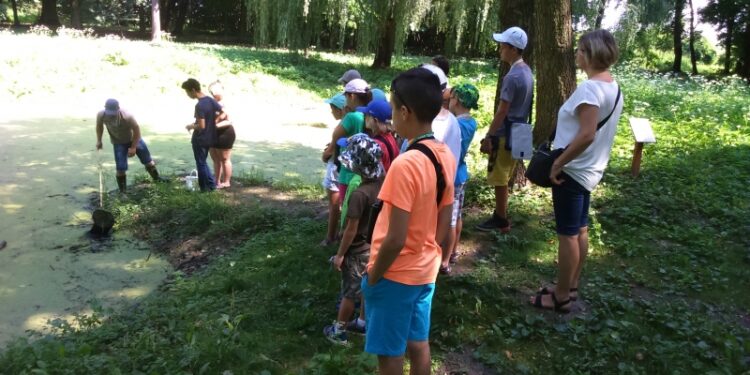 Tarnobrzeg. Poznawali przyrodę Parku Dzikowskiego.