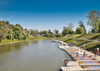 Sandomierz: Odmulają Stary Port