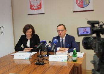 Mielec: Wojewoda o zwolnieniach lekarskich.