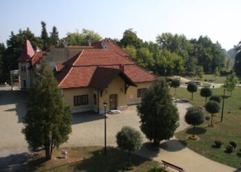 Mielec: Muzealne wakacje.