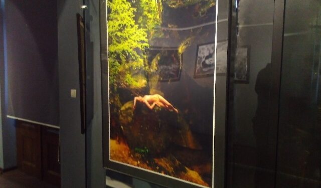 Mielec: Zachwycać się pięknem ciała.